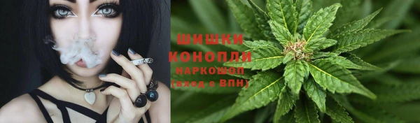 МДПВ Заводоуковск