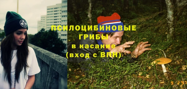 МДПВ Заводоуковск