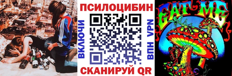 Купить закладки  Чаплыгин  Галлюциногенные грибы Psilocybine cubensis 